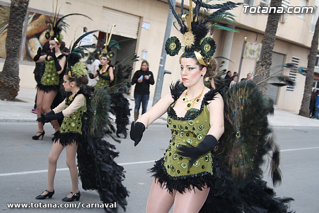 Desfile de Carnaval Totana 2014 - 690