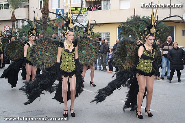 Desfile de Carnaval Totana 2014 - 696