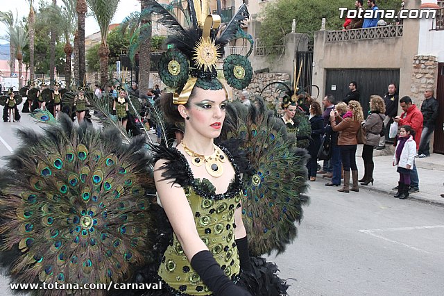 Desfile de Carnaval Totana 2014 - 698