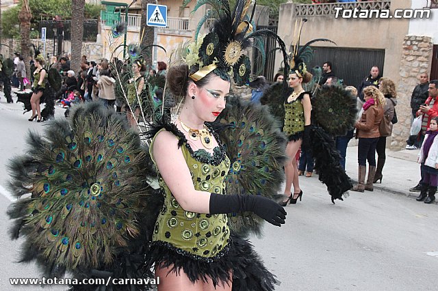 Desfile de Carnaval Totana 2014 - 699