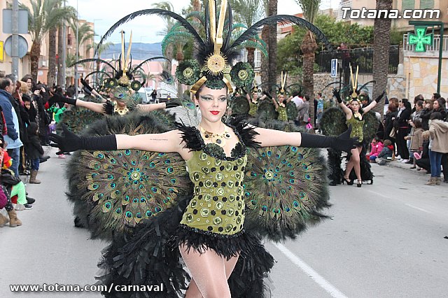 Desfile de Carnaval Totana 2014 - 700