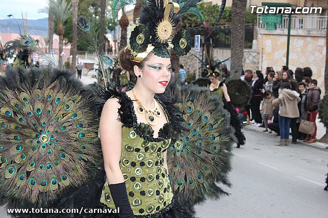 Desfile de Carnaval Totana 2014 - 701