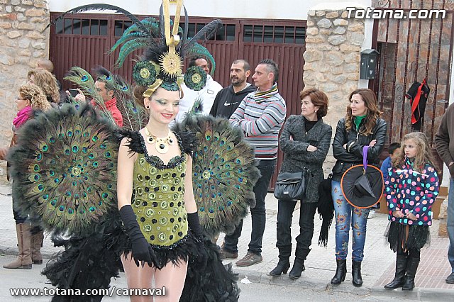Desfile de Carnaval Totana 2014 - 702