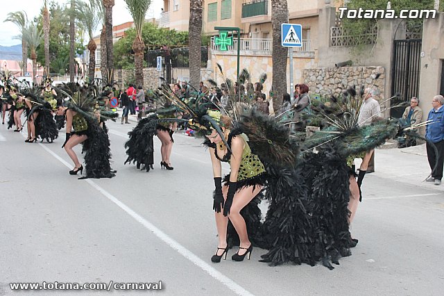 Desfile de Carnaval Totana 2014 - 703