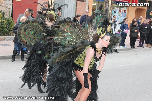 Desfile de Carnaval Totana 2014 - 704