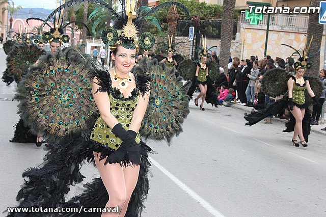 Desfile de Carnaval Totana 2014 - 705