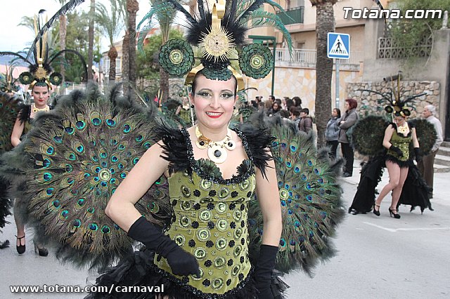Desfile de Carnaval Totana 2014 - 706