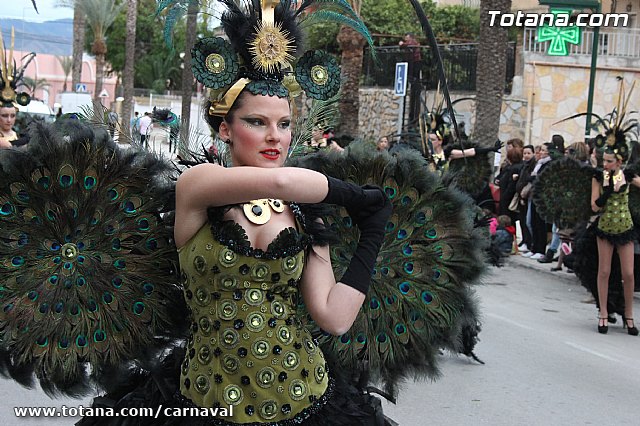 Desfile de Carnaval Totana 2014 - 707