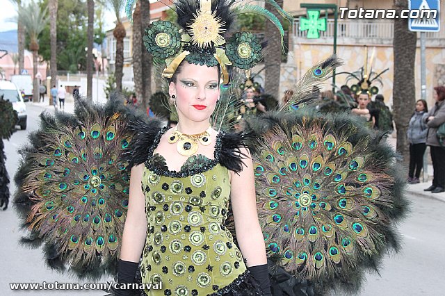 Desfile de Carnaval Totana 2014 - 709