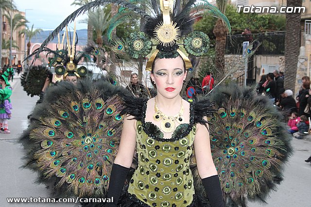 Desfile de Carnaval Totana 2014 - 710