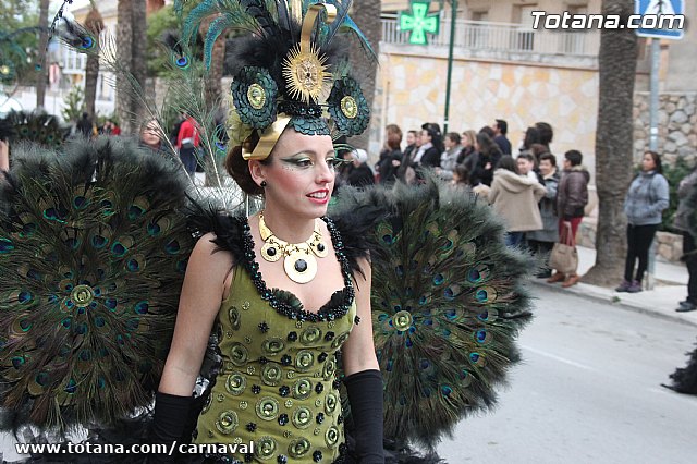 Desfile de Carnaval Totana 2014 - 711