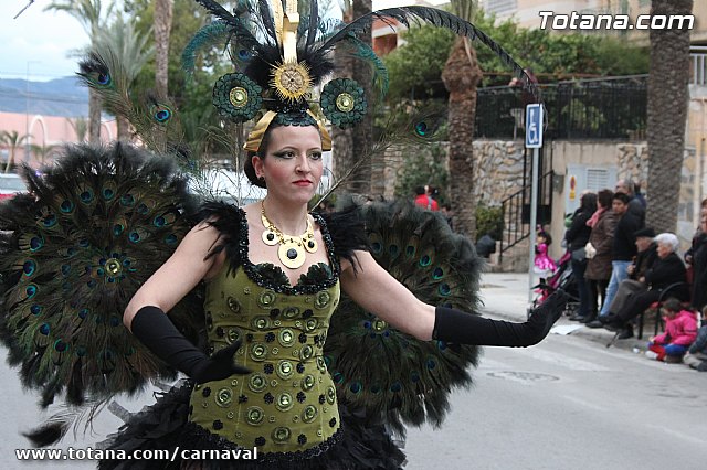Desfile de Carnaval Totana 2014 - 712