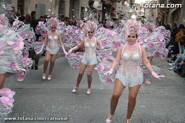 Desfile de Carnaval Totana 2014 - 868