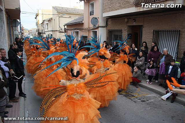Desfile de Carnaval Totana 2014 - 870
