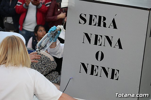 Carnaval Totana 2019 - 1008