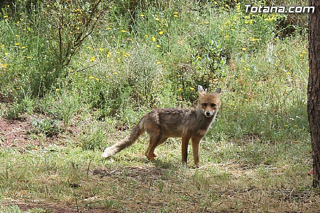 Jornada de convivencia en La Santa - Federacin de Peas del Carnaval - 143