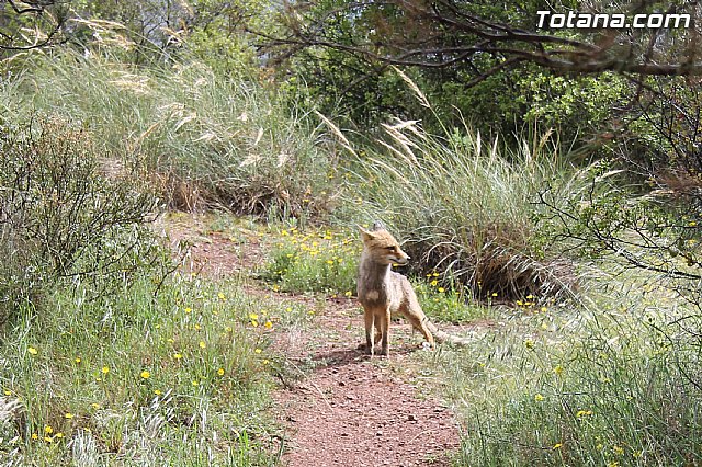 Jornada de convivencia en La Santa - Federacin de Peas del Carnaval - 144