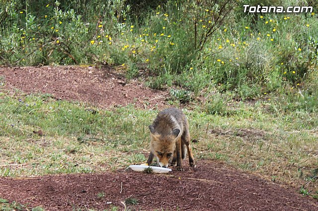 Jornada de convivencia en La Santa - Federacin de Peas del Carnaval - 146
