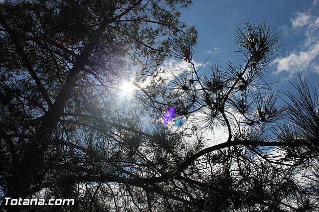 Jornada de convivencia en La Santa - Federacin de Peas del Carnaval - 204