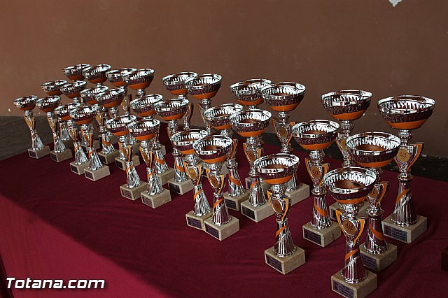 Carrera Popular Da de la Constitucin - Totana 2015 - 984