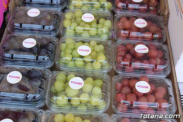 Carrera Popular Fiestas de Santiago 2018 - 19