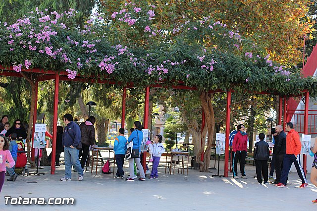 XXVII Carrera Popular 