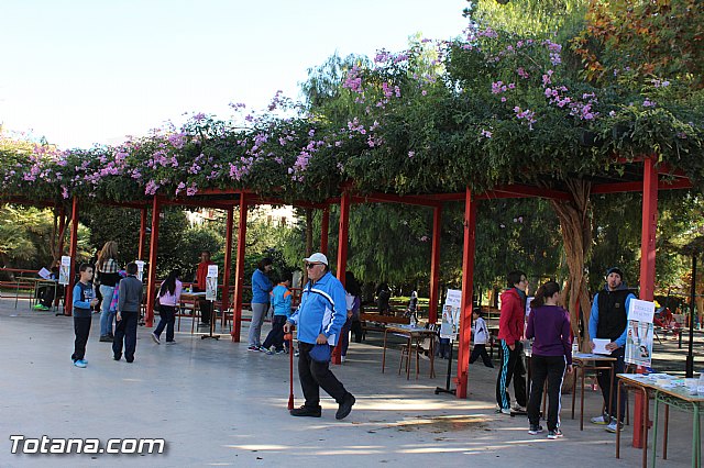 XXVII Carrera Popular 