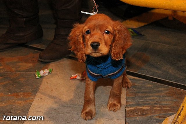 Carta Reyes Magos. Totana  3 de enero de 2013 - 390