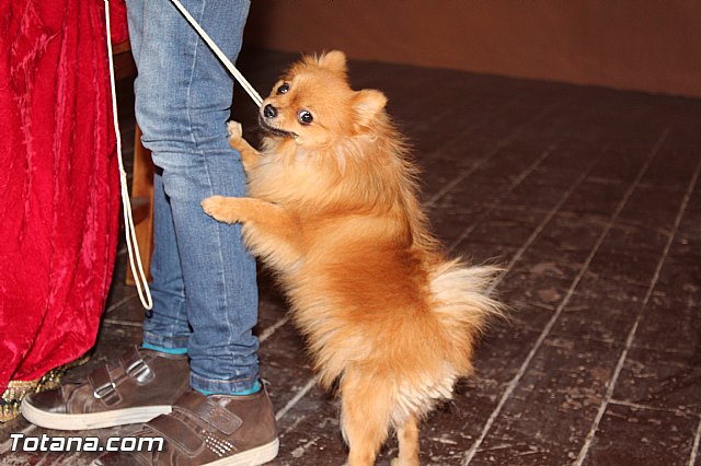 Carta a los Reyes Magos - 3 enero 2016 - 252