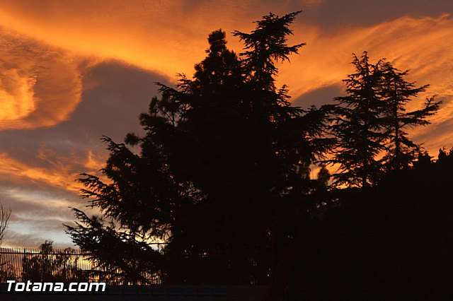 Carta a los Reyes Magos - 4 enero 2016 - 134