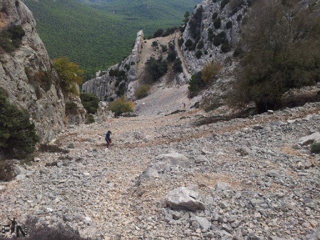 II Yeti Trail, Media Maratn Ciudad de Lorca y X Cross de la Artillera - 14
