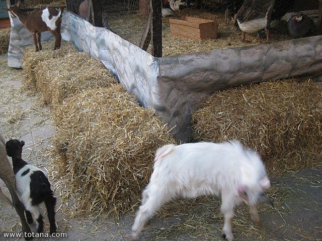 Viaje a Caudete y Castalla - 110