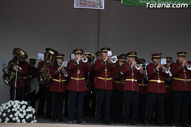 IV Certamen de Cornetas y Tambores Solidarios - 143