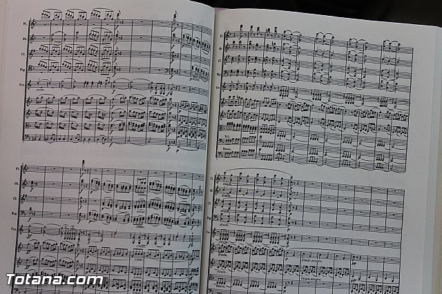 Santa Cecilia, patrona de la msica. IES Prado Mayor 2013 - 91