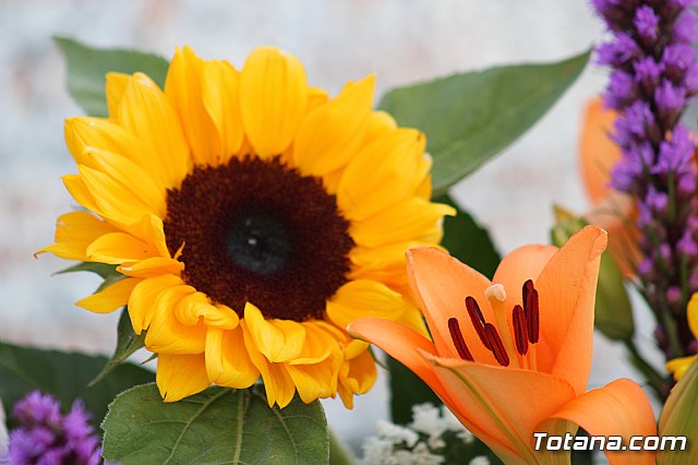 Misa de Difuntos, Da de las nimas 2018 - 161