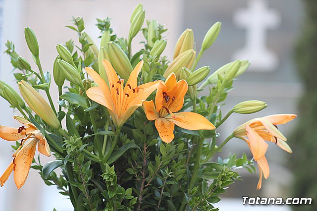 Misa de Difuntos, Da de las nimas 2018 - 166