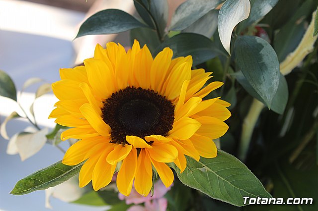 Da de los Fieles Difuntos - 55