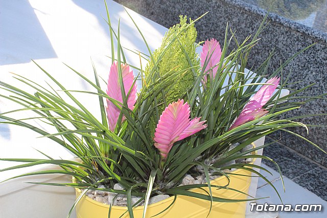 Da de los Fieles Difuntos - 80