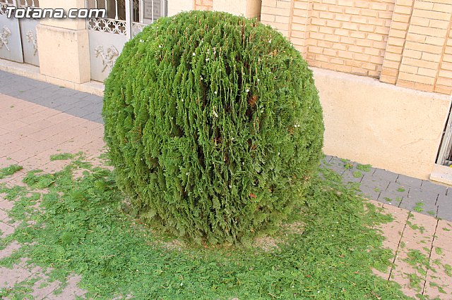 Visita al Cementerio Municipal 