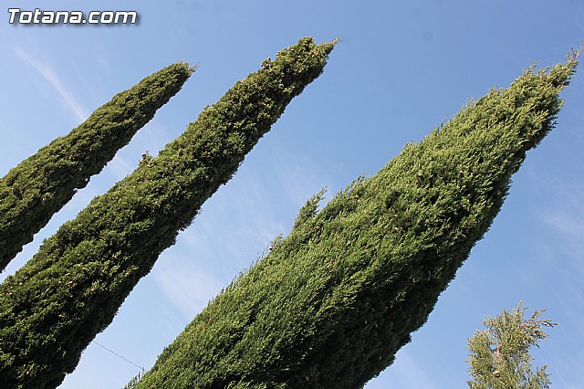 Visita al Cementerio Municipal 