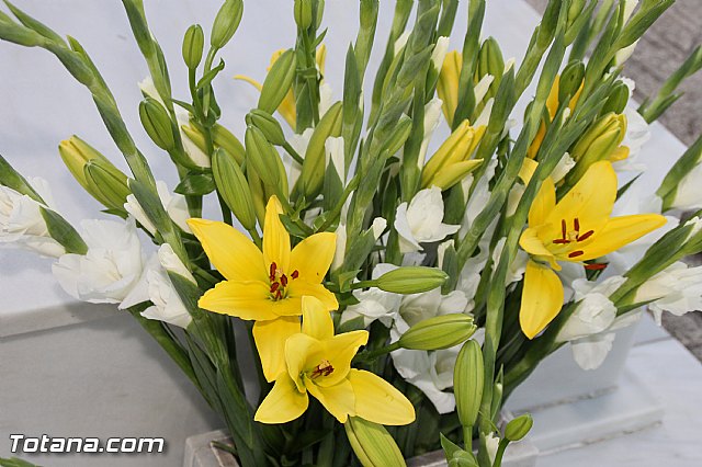 Cementerio. Das previos a Todos los Santos - 54