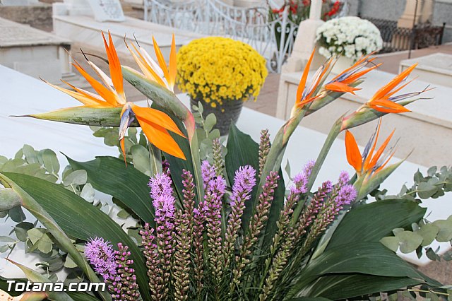 Cementerio. Das previos a Todos los Santos - 88