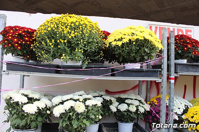 Cementerio. Da previo a la festividad de Todos los Santos 2018 - 2