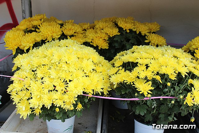 Cementerio. Da previo a la festividad de Todos los Santos 2018 - 3
