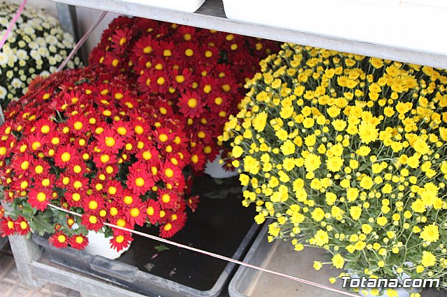 Cementerio. Da previo a la festividad de Todos los Santos 2018 - 4
