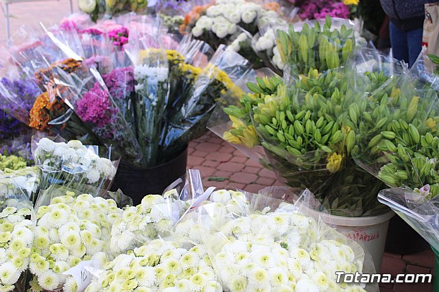 Cementerio. Da previo a la festividad de Todos los Santos 2018 - 7