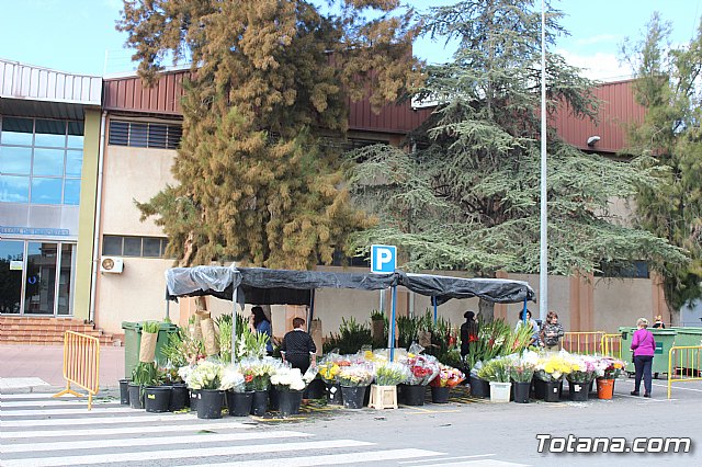 Cementerio. Da previo a la festividad de Todos los Santos 2018 - 8