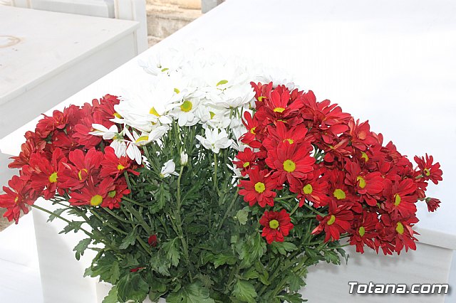 Cementerio. Da previo a la festividad de Todos los Santos 2018 - 33