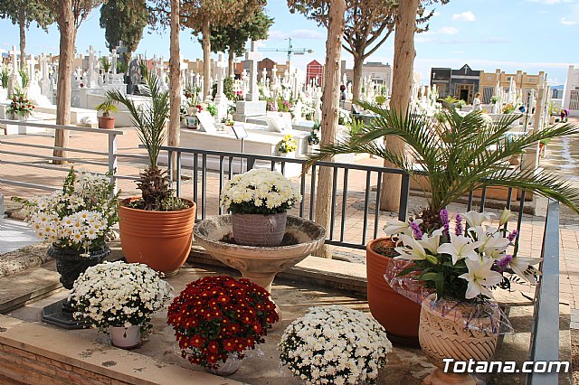 Cementerio. Da previo a la festividad de Todos los Santos 2018 - 56