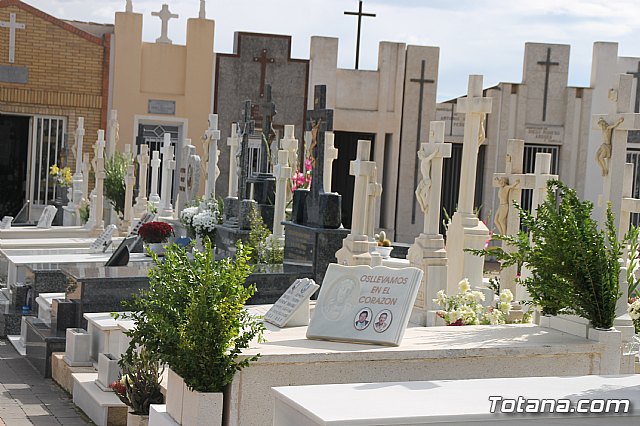 Cementerio. Da previo a la festividad de Todos los Santos 2018 - 136